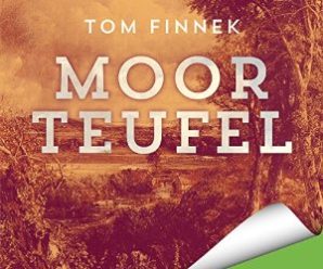 Moorteufel (Moor-Trilogie 1)